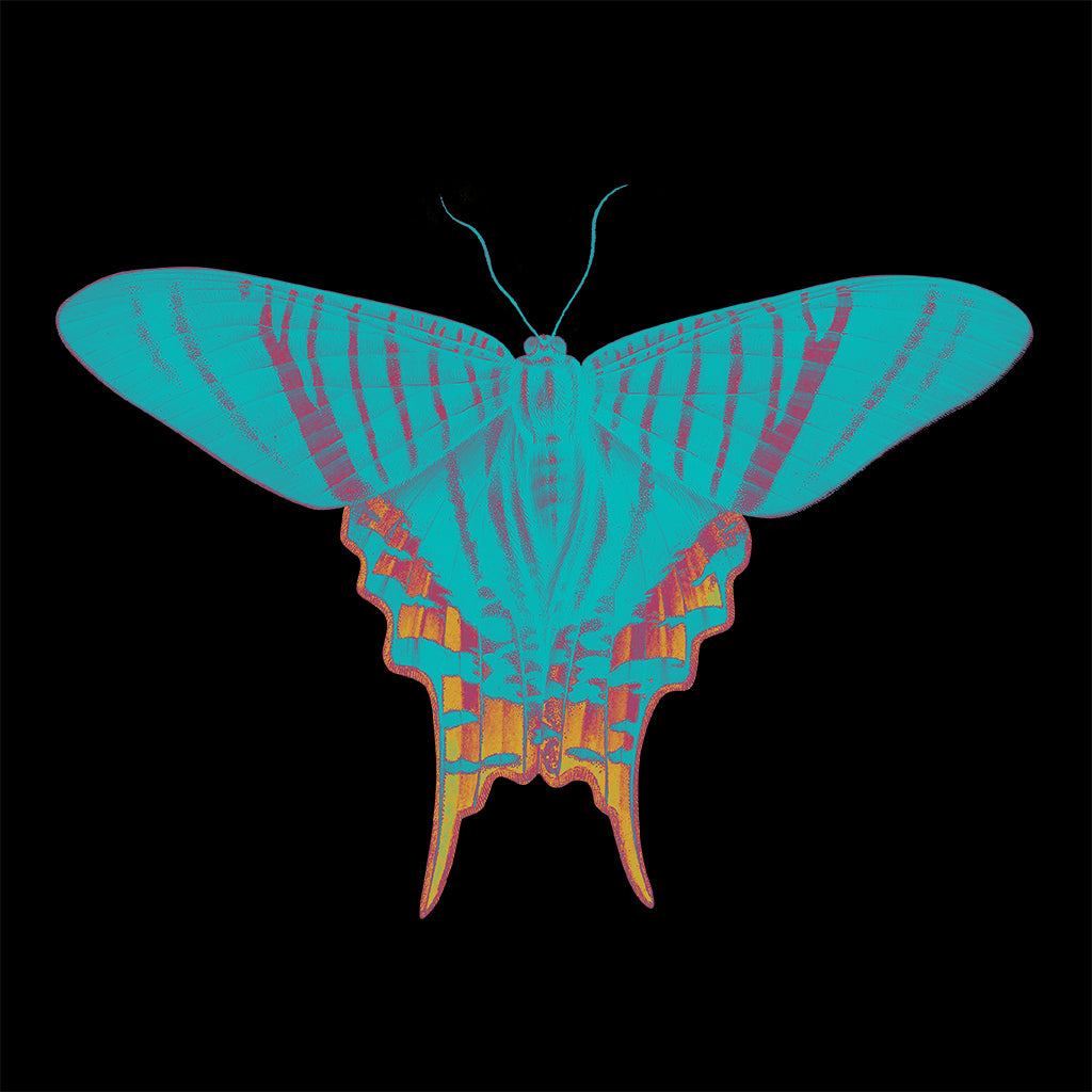 Garden Of Peace Butterfly Front And Back Print Unisex Organic T-Shirt-Renaissance DJ Shop