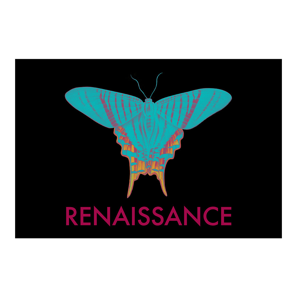 Renaissance Garden Of Peace Butterfly A3 Framed Print-Renaissance DJ Shop
