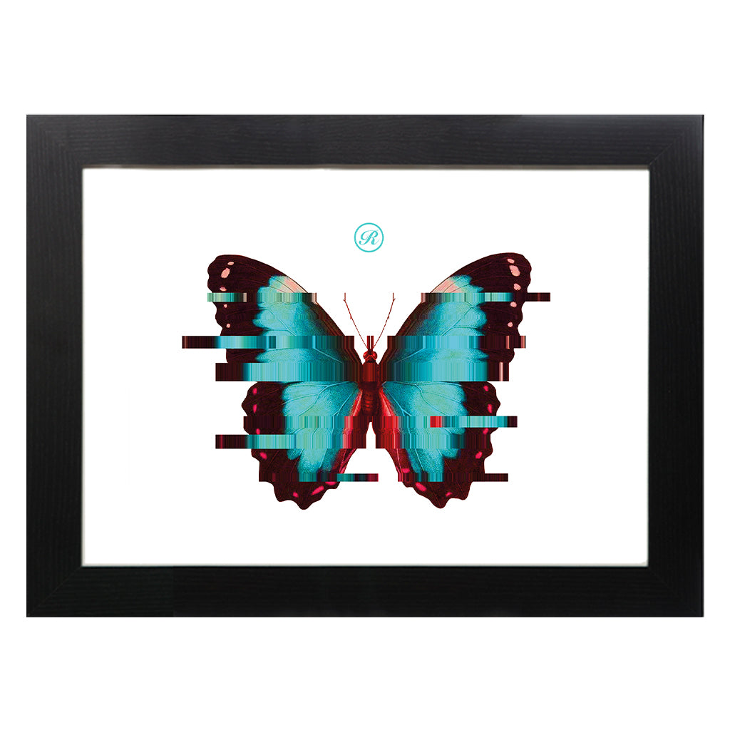 Daytime Butterfly A3 Framed Print-Renaissance DJ Shop