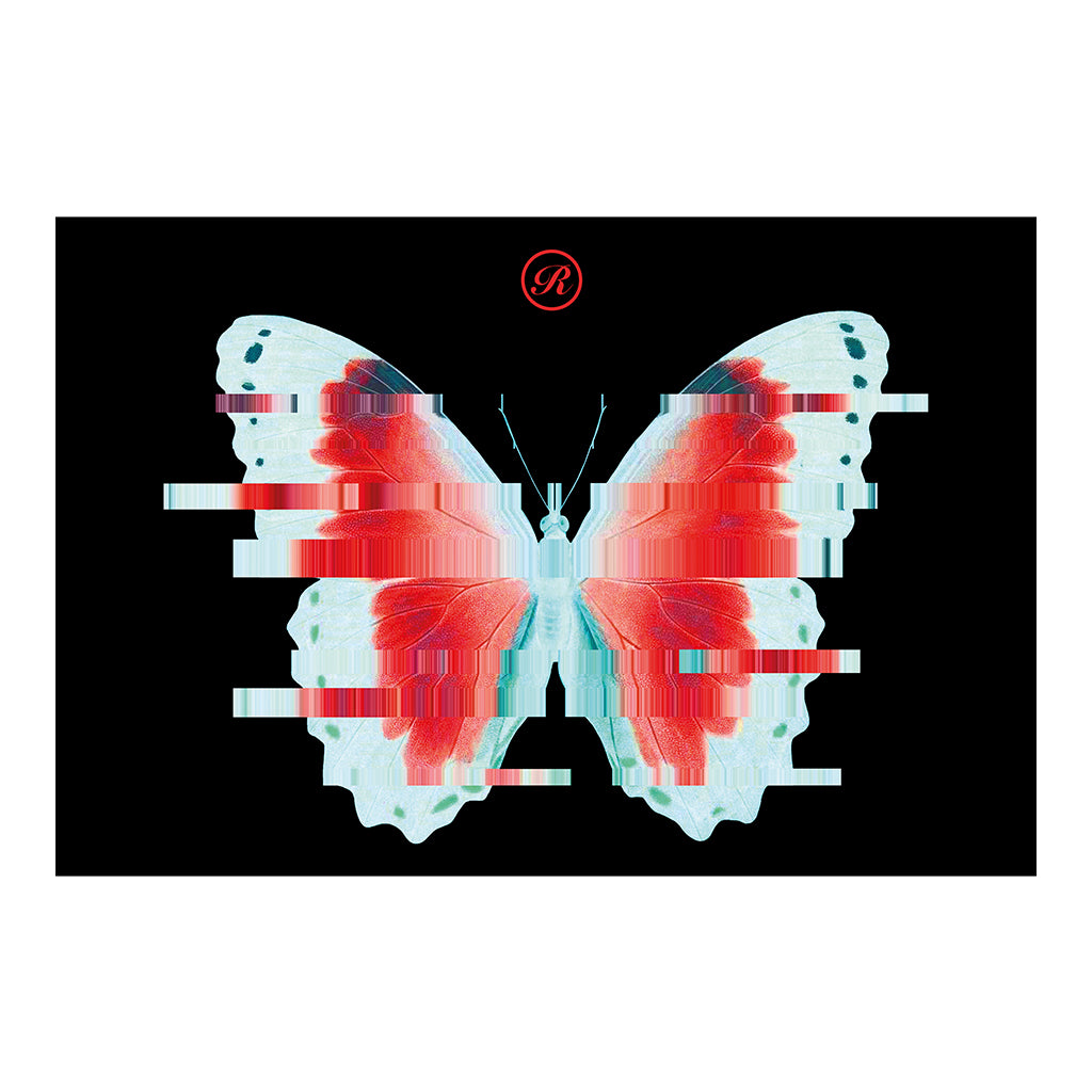 Afters Butterfly A3 Framed Print-Renaissance DJ Shop