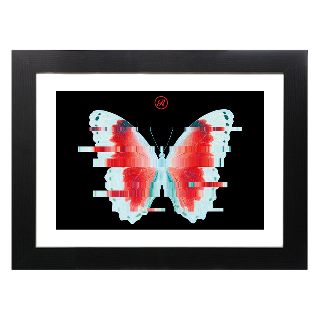 Afters Butterfly A3 Framed Print-Renaissance DJ Shop